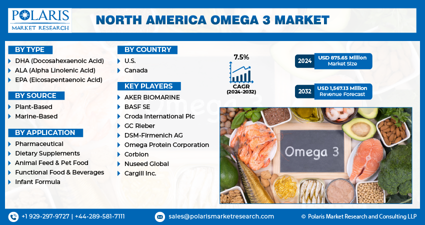 North America Omega 3 Market info